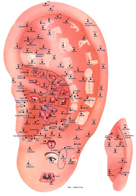 Ear Acupuncture Cleveland Asian Health Center